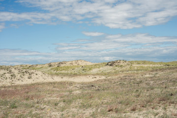 Fototapeta na wymiar Landscape of the Curonian Spit