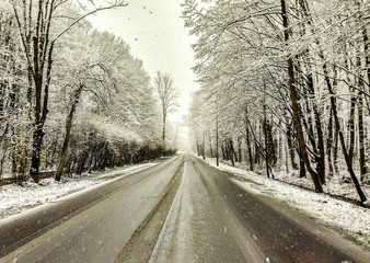 Fototapeta premium Winter road 