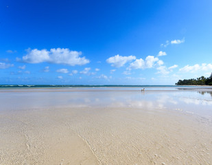 Karibik pur: Ferien, Tourismus, Sommer, Sonne, Strand, Auszeit, Meer, Glück, glitzernde Wasseroberfläche, Entspannung, Meditation: Traumurlaub an einem einsamen, karibischen Strand :)