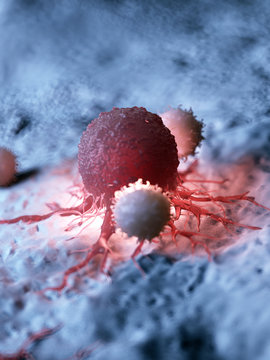 3d rendered medically accurate illustration of a cancer cell being attacked by white blood cells
