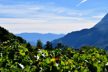 summit rock panorama landscape of the mountains in south tyrol italy europe