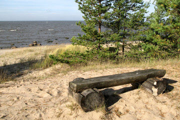 Fototapeta na wymiar bench on the beach