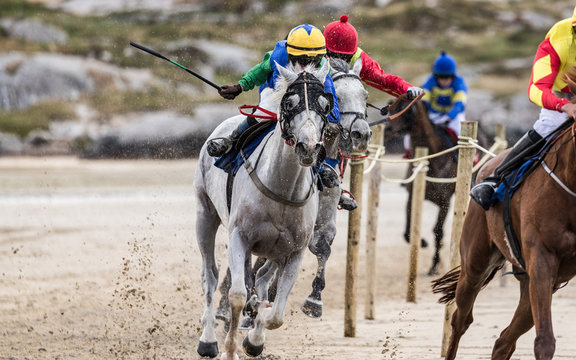 Race horses and jockeys  galloping at speed on the beach