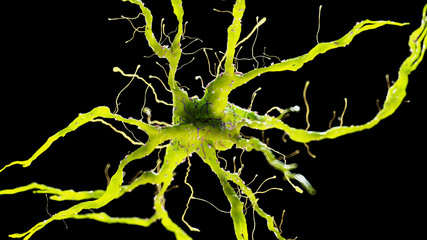 3d rendered medically accurate illustration of a green nerve cell