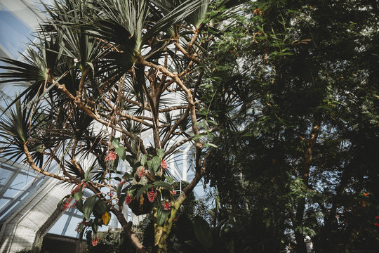 Butterfly house