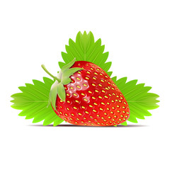 strawberry on leaf