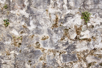 Old grey concrete wall. Texture. Background. Montenegro.