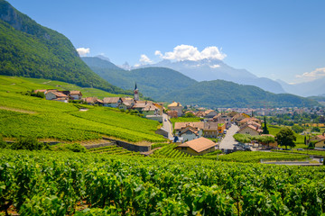 Fototapeta na wymiar Summer Switzerland valley landscape with vineyards at foreground near Aigle
