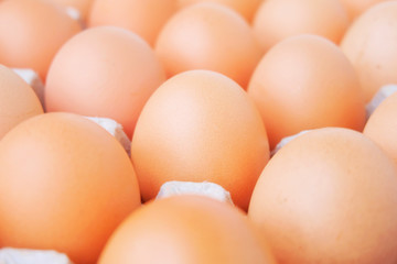 Many fresh raw egg chicken.
