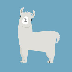 cute llama or alpaca on blue background vector illustration