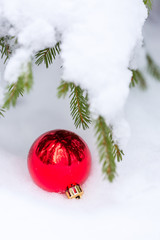 Christmas ball on fresh snow and snow-covered spruce branch