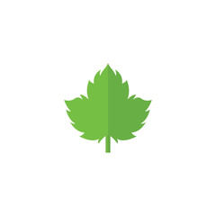 Green leaf, vector illustartion.