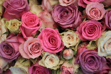 Mixed pink roses