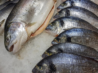 A lot of fresh raw fish on store shelve with ice

