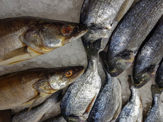 A lot of fresh raw fish on store shelve with ice
