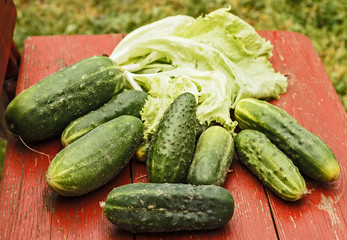 Fresh cucumbers from garden