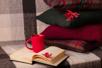 Autumn time. Comfort and warmth in the house. Cozy pillows on the couch.