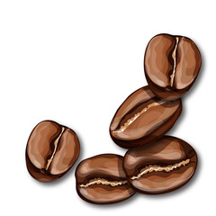 Roasted coffee beans isolated on white background.