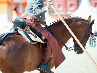 doma vaquera with garrocha detail