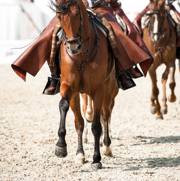 Doma vaqueras detail