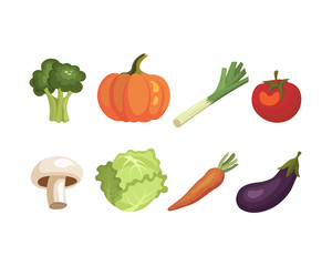 Organic vegetables: leeks, carrots, pumpkin, eggplant, tomatoes, mushrooms, broccoli, cabbage. Vector illustration.