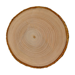 Wooden cut of a tree isolated on white background. Ashen tree cross section.
