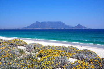Naklejka premium Widok przez zatokę na Table Mountain, Kapsztad, RPA