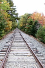 Fall Tracks II