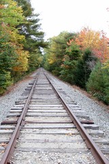 Obraz premium Fall Tracks II