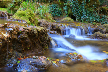 Obraz premium Mountain stream among the mossy stones