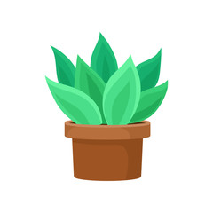 Cactus with bright green leaves in brown ceramic pot. Succulent plant for home decor. Flat vector icon of small houseplant