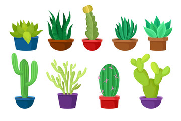 Flat vectoe set of different cacti in colorful ceramic pots. Succulent plants. Nature elements for home interior