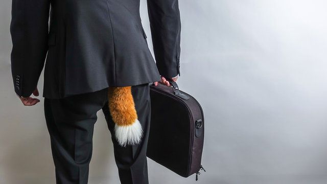 Sneaky Businessman In Black Suit With A Briefcase And A Fox Tail.  Concept For Economic / White Collar Crime, Fraud And Black Market. White Background With Copy Space For Text.