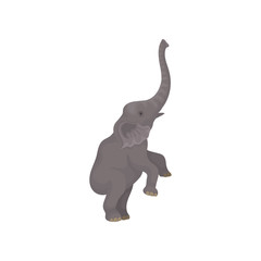 Big gray elephant standing on hind legs. Wild African animal with long trunk and large ears. Flat vector design