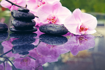 Fototapeta na wymiar Pink orchids flowers and spa stones . Spa background.