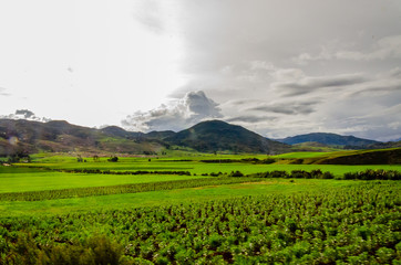Green fields planted with clouds and mountains on the road to Moray, Peru