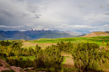 Fototapeta na wymiar Green fields planted with clouds and mountains on the road to Moray, Peru