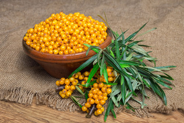 Buckthorn, Sea buckthorn berries in a bowl