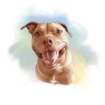 Pit Bull Terrier. Watercolor Portrait of a cute dog with a friendly smile. Animal collection: Dogs. Hand Painted Illustration of Pets. Art background for banner, cover, card, pillow. Design template