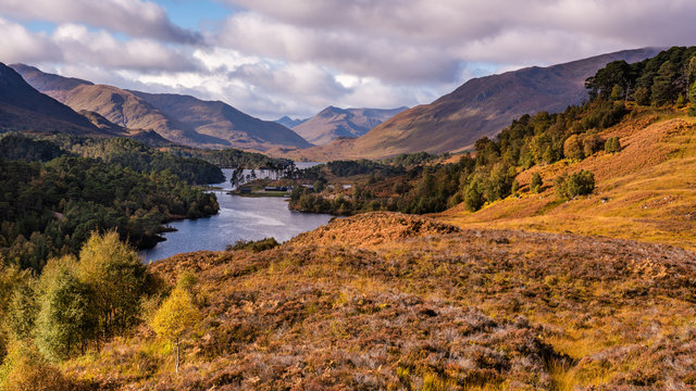 Autumn in Glen Affric