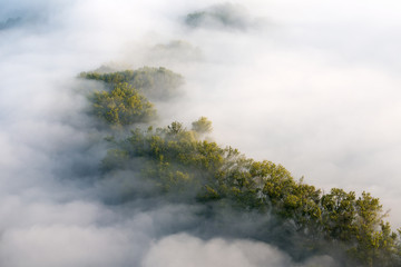 Nebbie autunnali sulla foresta, Italia