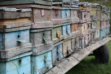 Old wooden hives.