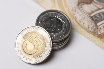 Polish zlotys 