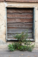 The window of the old house is covered with wooden shutters at street level