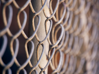 Fototapeta premium Fence