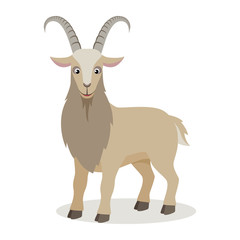 Cartoon mountain goat in different poses in flat style. Cute realistic goat with long horns for decor, learning children. Vector illustration.