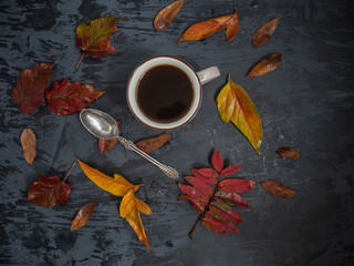 cup of tea surrounded by colored autumn leaves