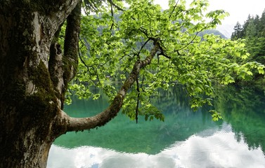 Lagi Di Fusine