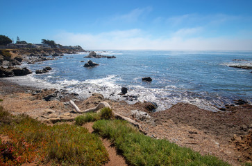 Driftwood log on rugged Central California coastline at Cambria California United States