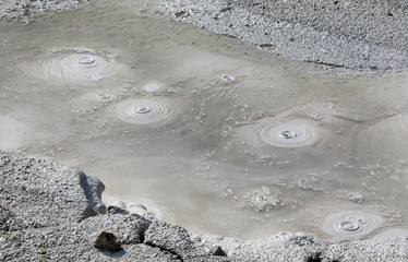 bubbling mud pots, Yellowstone National Park, WY, USA